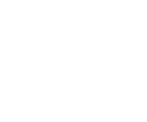 logo-Rabe-blanco